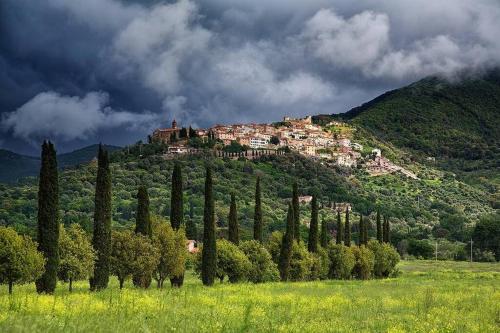 a town on top of a hill with trees at Bilocale moderno 4 posti vicino al mare in Scarlino