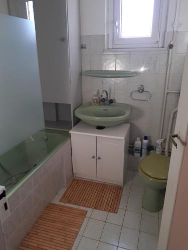 a bathroom with a green sink and a toilet at Coquet appartement 6 personnes avec jardin in Wintzenheim