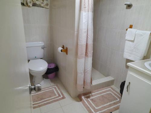 Ribishi的住宿－Cays Inn Apartments，带淋浴、卫生间和盥洗盆的浴室