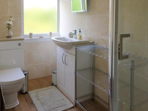 a bathroom with a sink and a toilet at Ewenny Cottage in Ewenny
