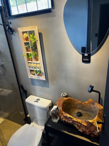 a bathroom with a sink and a toilet and a mirror at Container-Spa quente, projetor cine, lareira, churrasqueira-20km de Brotas in Torrinha