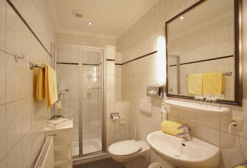 uma casa de banho com um lavatório, um WC e um chuveiro em Ferienhof Große Drieling em Greven