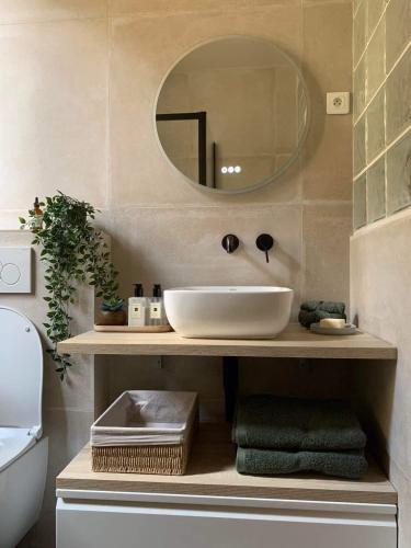 a bathroom with a sink and a mirror at Cosy appartement hyper centre in Saint-Germain-en-Laye
