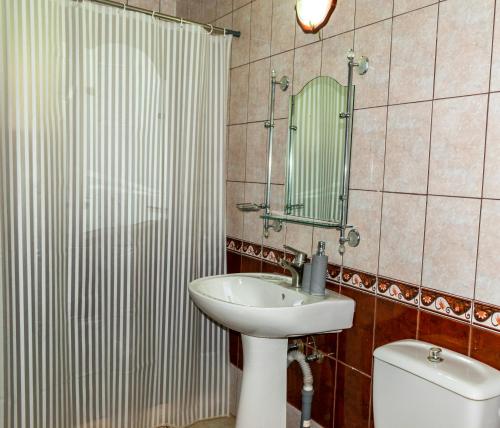 een badkamer met een wastafel, een toilet en een spiegel bij Complex Zimbru in Nemţişor