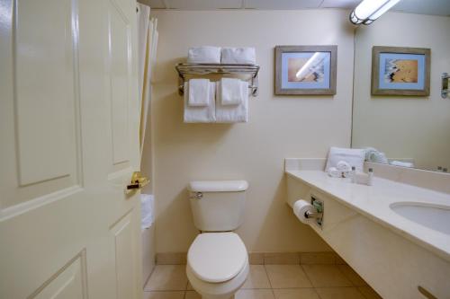 a bathroom with a toilet and a sink and a mirror at Grand Hotel Ocean City Oceanfront in Ocean City
