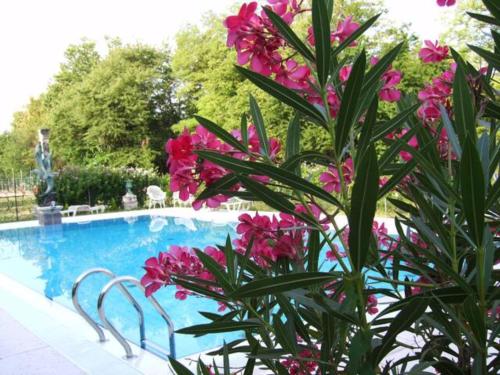 a plant with pink flowers next to a swimming pool at Villa Navagero - Ca' Degli Stefani A in Rovarè