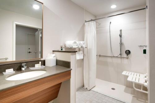 een badkamer met een wastafel en een douche bij Fairfield Inn & Suites by Marriott Denver West/Federal Center in Lakewood