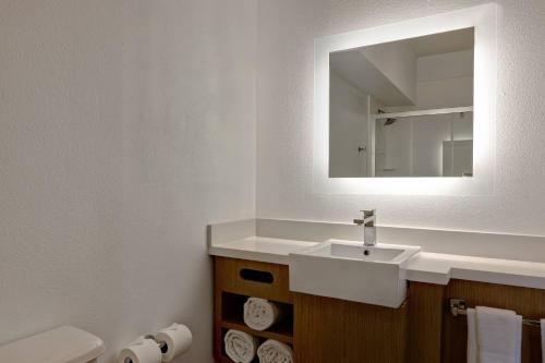 y baño con lavabo y espejo. en SpringHill Suites by Marriott Las Cruces, en Las Cruces