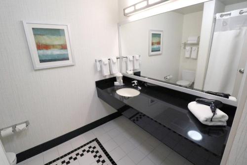 a bathroom with a sink and a large mirror at Fairfield Inn & Suites Des Moines Airport in Des Moines