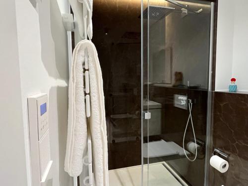 baño con ducha y puerta de cristal en The Executive Residence - Kirchberg, en Luxemburgo