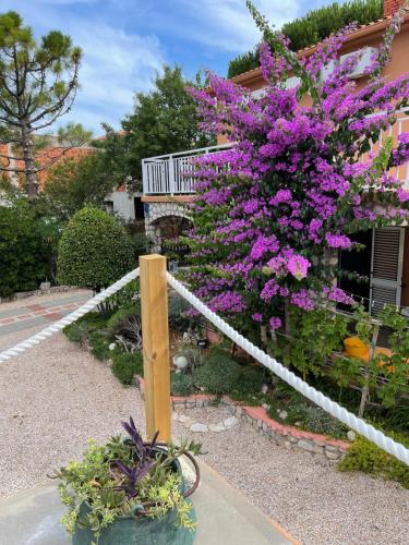 un cespuglio di fiori viola di fronte a una casa di Green Garden Novalja a Novalja (Novaglia)