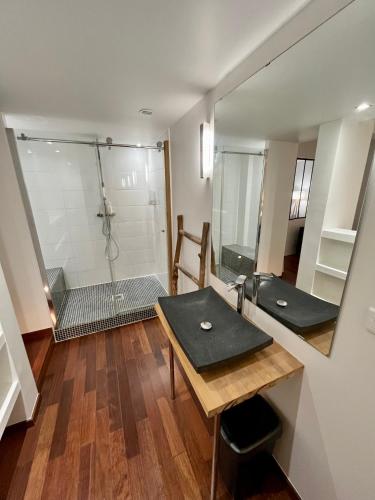 une salle de bain avec une douche, un lavabo et un miroir dans l'établissement Vieux-Nice : 2 pièces type loft, à Nice