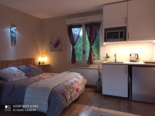 a bedroom with a bed and a small kitchen at Studio & Gîte Zen de Beauval- 800 m du Zooparc in Seigy