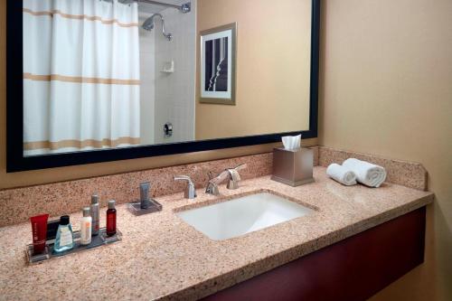 Salle de bains dans l'établissement Washington Dulles Airport Marriott