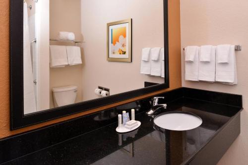 a bathroom with a sink and a mirror at Fairfield Inn and Suites by Marriott Fort Wayne in Fort Wayne