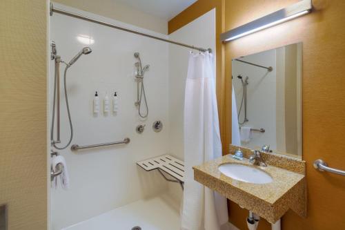 a bathroom with a shower and a sink at Fairfield Inn and Suites by Marriott Nashville Smyrna in Smyrna