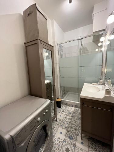 une salle de bain avec une machine à laver et un lavabo dans l'établissement Entre Loire & Château - Vue exceptionnelle à Blois, à Blois