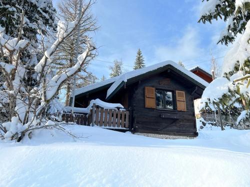 uma cabana de madeira na neve com neve em Entire cozy chalet in St-Cergue - 30 min from Geneva em Saint-Cergue