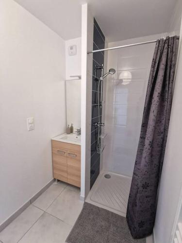 une salle de bain avec douche et lavabo dans l'établissement Le barbara, à Nantes