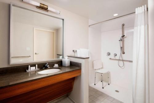 a bathroom with a sink and a shower and a mirror at Fairfield Inn & Suites By Marriott Louisville Northeast in Louisville