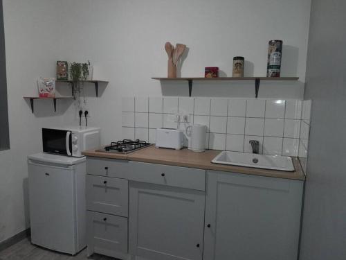 uma cozinha com um balcão com um lavatório e um micro-ondas em Studio agréable et fonctionnel à 5km des plages em Lannion