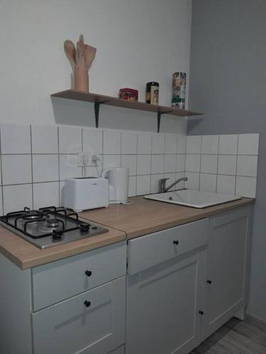 encimera de cocina con fogones y fregadero en Studio agréable et fonctionnel à 5km des plages, en Lannion