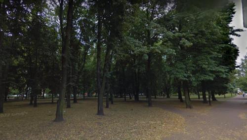 a park with trees and leaves on the ground at Mirovski Apartment in Warsaw