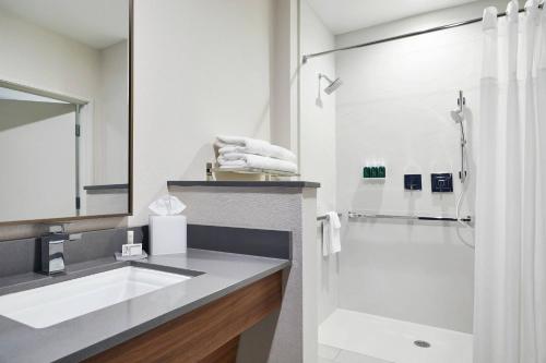 ein Bad mit einem Waschbecken und einer Dusche in der Unterkunft Fairfield Inn & Suites Sheboygan in Sheboygan