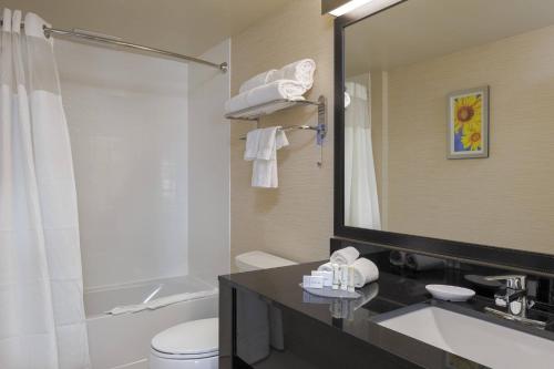 La salle de bains est pourvue d'un lavabo, de toilettes et d'un miroir. dans l'établissement Fairfield Inn & Suites by Marriott Belleville, à Belleville