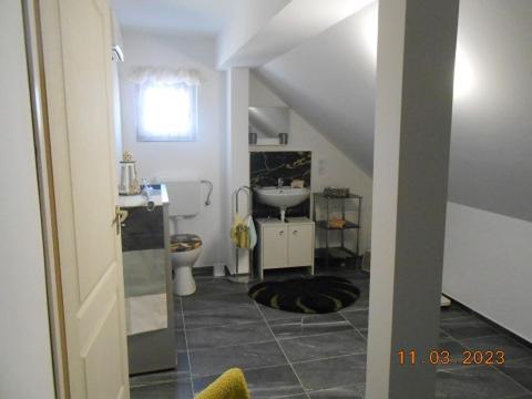 a bathroom with a sink and a toilet at Bei Hanna in Enying