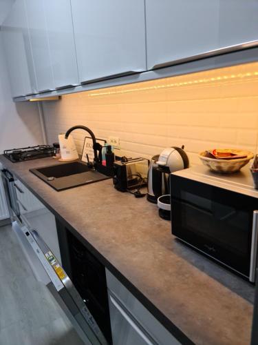 a kitchen counter with a sink and a microwave at Global Residence Lake View in Bucharest