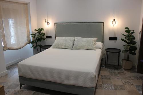 a bed in a bedroom with two plants and lights at SUITE DEL CASTILLO in Andújar