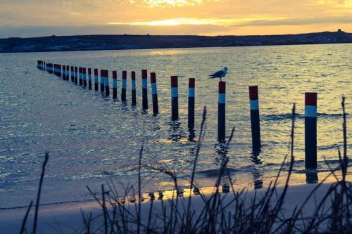 a bird standing on a pier in the water at Villa Paulina Family Suite in Langebaan