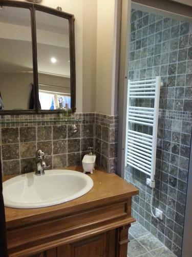 une salle de bain avec un lavabo et un miroir dans l'établissement Relais St Jacques - Roanne, à Saint-Haon-le-Châtel