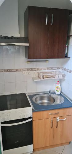 a small kitchen with a sink and a stove at Oroszlán Apartman in Szeged