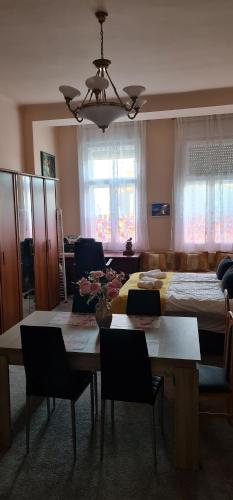 Gallery image of Oroszlán Apartman in Szeged