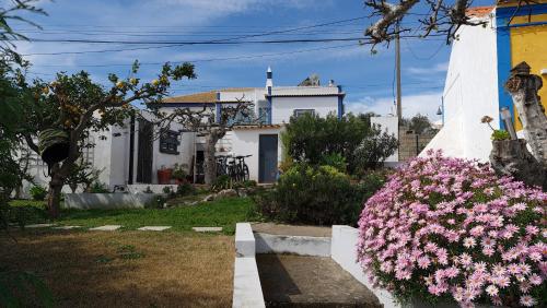 a house with pink flowers in a yard at Monte da ti Luzia in Faro