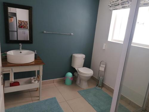 a bathroom with a toilet and a sink and a mirror at Cape Dutch Flair in Durbanville