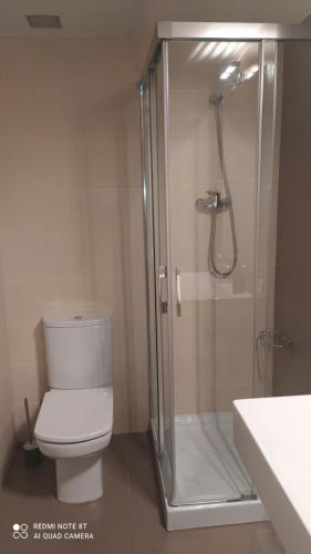 uma casa de banho com um WC e uma cabina de duche em vidro. em Studio DORIA em Sant Boi del Llobregat