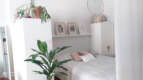 um quarto com uma cama e um vaso de plantas em Studio DORIA em Sant Boi del Llobregat