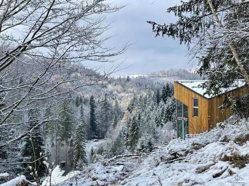 drewniany dom na pokrytym śniegiem wzgórzu z drzewami w obiekcie Widokownia Brenna w Brennie