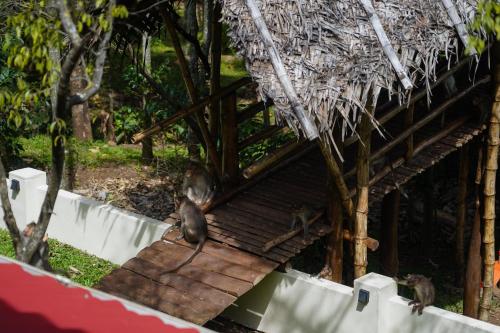 two monkeys sitting on the side of a building at VanaJyotsna Forest Home in Marayoor