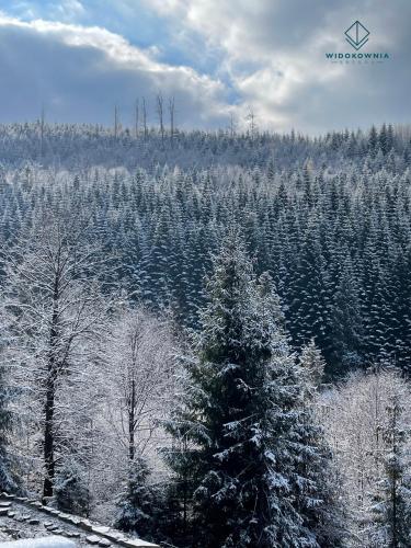 a snow covered forest with a christmas tree at Widokownia Brenna in Brenna