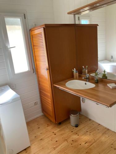 a bathroom with a sink and a mirror at Chalet Mimosas in Gassin