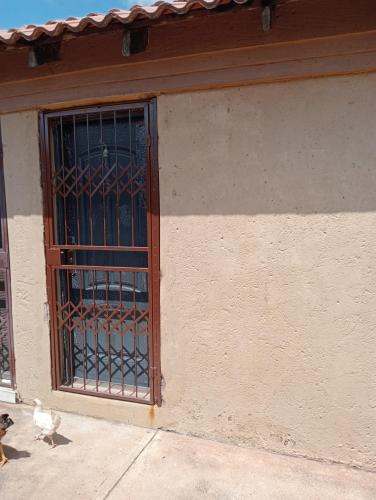 a dog and a chicken walking in front of a door at moafrikatravellodge in Lydenburg