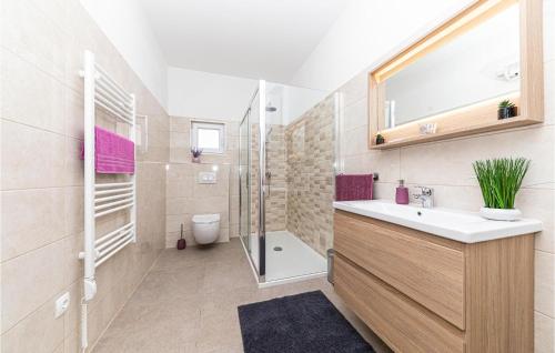 uma casa de banho com um lavatório, um chuveiro e um WC. em 4 Bedroom Beautiful Home In Prgomet em Labin
