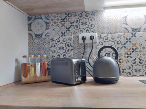 a kitchen counter with a toaster and a toaster at Apartman Katarina Bački Monoštor in Bački Monoštor