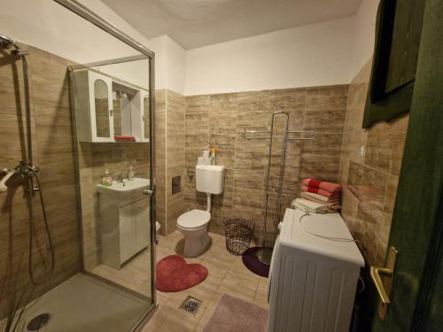 a bathroom with a shower and a toilet and a sink at Duna-Lak Vendégház in Apostag