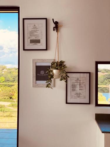 a wall with pictures and a potted plant on it at Villa Luasah in Vila Praia Do Bilene