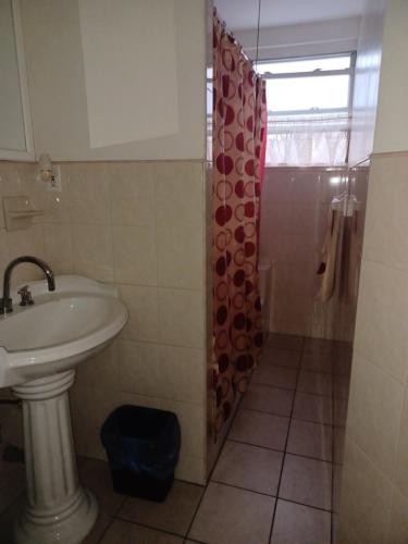 a bathroom with a sink and a shower at The Heiress Hubb in Brooklyn